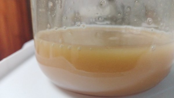 particolare miele.jpg