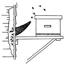 2vt653m.jpg