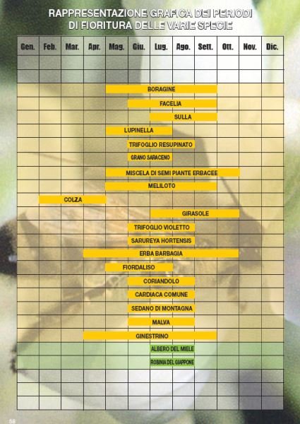 Fioritura varie specie.jpg