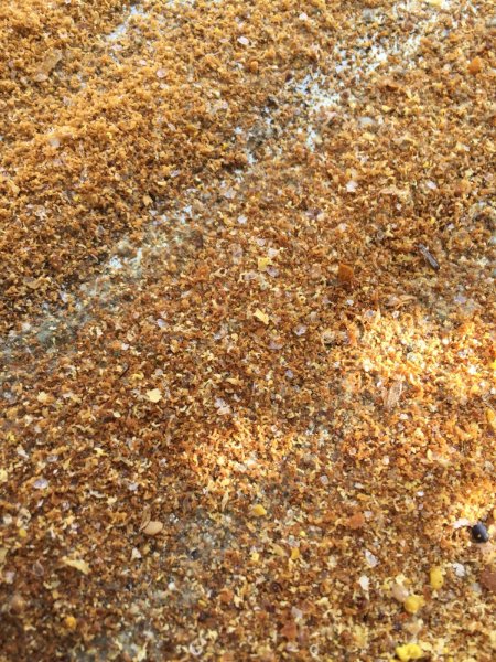 WhatsApp Image 2018-03-14 at 14.41.40(1).jpeg