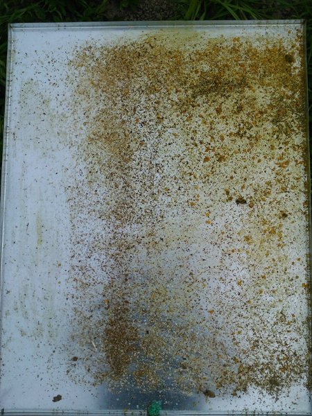 cassetto anti-varroa.jpg