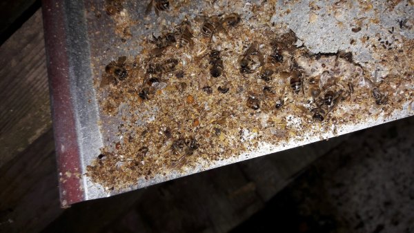 20190907_201105 (Large).jpg