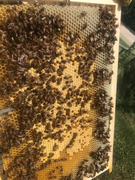 WhatsApp Image 2020-05-28 at 15.19.53 (1).jpeg