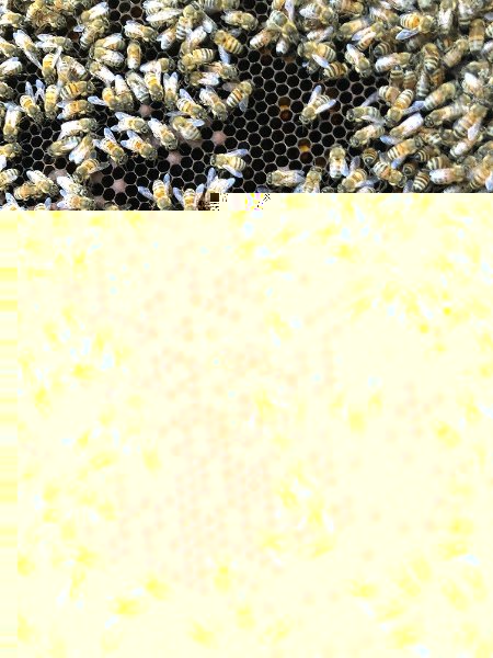 IMG-8115.jpg