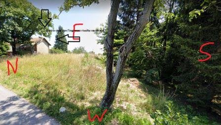 Posizionamento alveari.jpg