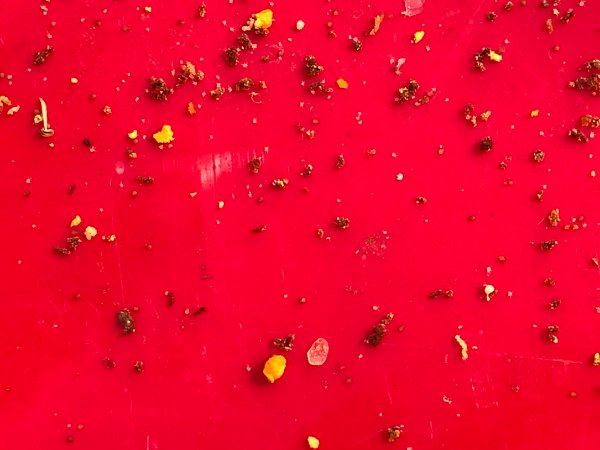 insetti nel cassettino.jpg