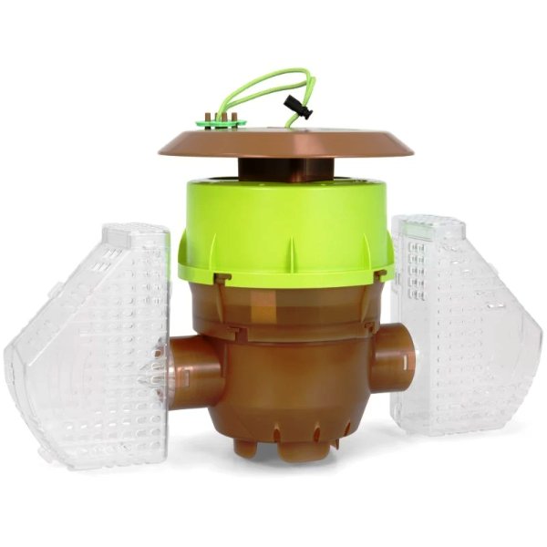 Trappola Vespa Orientalis.jpg