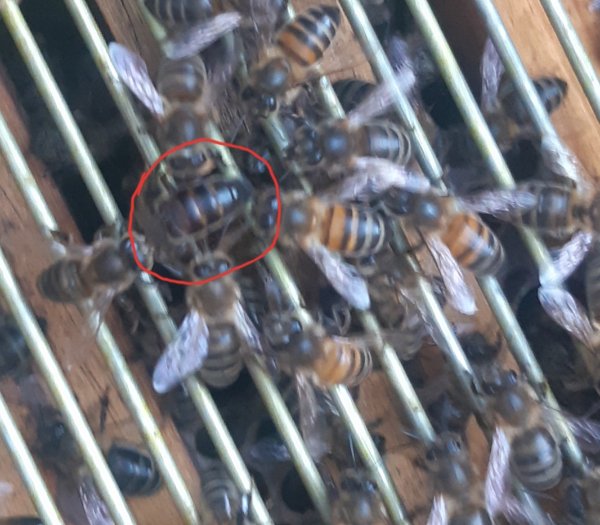 20250525_224017.jpg