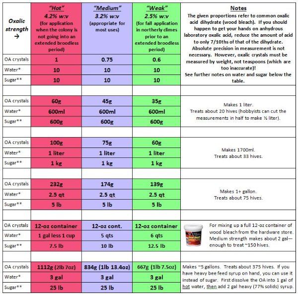 Ricette ossalico.jpg